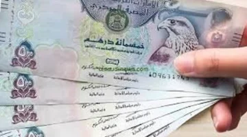 سعر الدرهم.. تحديثات اليوم الأربعاء 26 نوفمبر تؤثر على الجنيه المصري بشكل مباشر